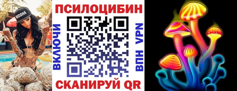 Галлюциногенные грибы мицелий  Нестеров 